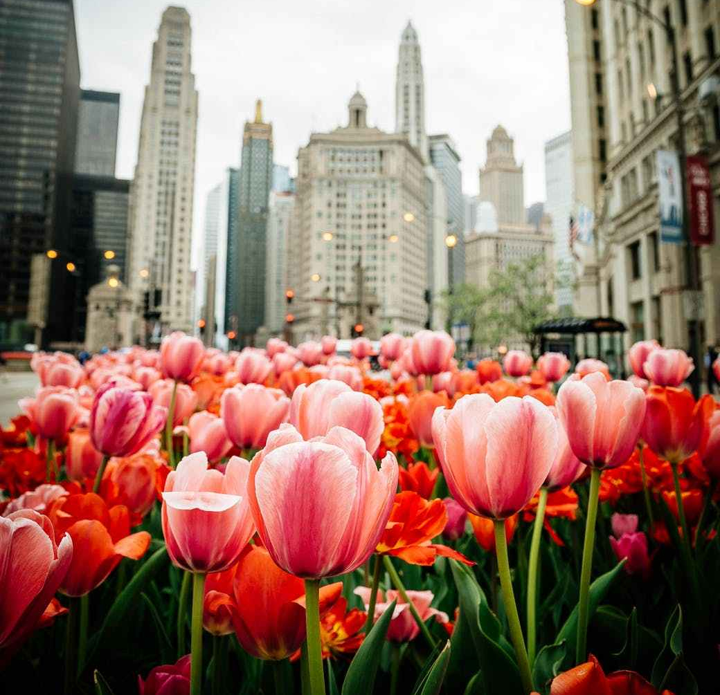 Assegurances auto coche casa hogar seguro seguros Gestoria Bartolomé Figueres